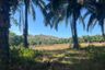 Land for sale in Tha Yu, Phang Nga