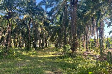 Land for sale in Tha Yu, Phang Nga