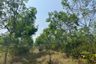 Land for sale in Thai Mueang, Phang Nga