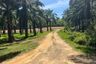 Land for sale in Bang Thong, Phang Nga
