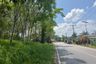 Land for sale in Tha Yu, Phang Nga