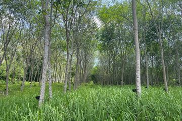 Land for sale in Tha Yu, Phang Nga