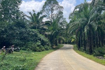 Land for sale in Tham, Phang Nga