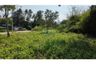 Land for sale in Mae Nam, Surat Thani