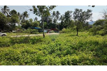 Land for sale in Mae Nam, Surat Thani