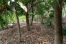 Land for sale in Ban Mai, Nonthaburi