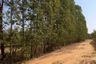 Land for sale in Sa Nok Kaeo, Roi Et