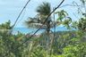 Land for sale in Maret, Surat Thani