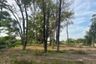 Land for sale in Khok Kloi, Phang Nga