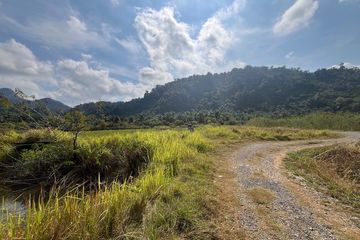 Land for sale in Tham Nam Phut, Phang Nga