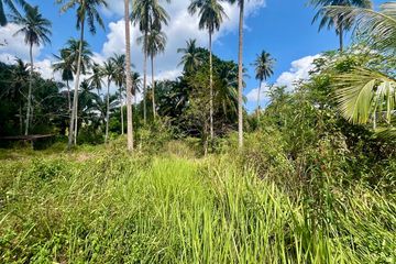 Land for rent in Ao Nang, Krabi