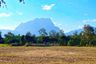 Land for sale in Chiang Dao, Chiang Mai