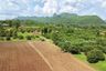 Land for sale in Chiang Dao, Chiang Mai
