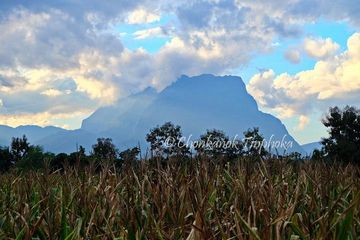 Land for sale in Chiang Dao, Chiang Mai