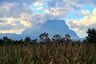 Land for sale in Chiang Dao, Chiang Mai