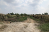 Land for sale in Khlong Preng, Chachoengsao