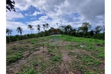 Land for sale in Na Mueang, Surat Thani