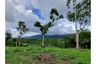 Land for sale in Na Mueang, Surat Thani