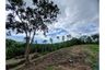 Land for sale in Na Mueang, Surat Thani