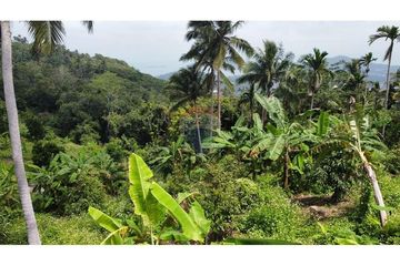 Land for sale in Bo Phut, Surat Thani