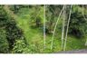 Land for sale in Mae Nam, Surat Thani