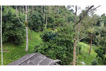 Land for sale in Mae Nam, Surat Thani