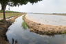 Land for sale in Khlong Preng, Chachoengsao