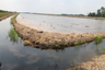 Land for sale in Khlong Preng, Chachoengsao