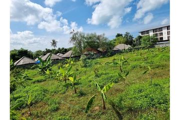 Land for sale in Bo Phut, Surat Thani