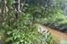 Land for sale in Na Toei, Phang Nga