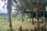 Land for sale in Na Toei, Phang Nga