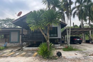 Land for sale in Na Toei, Phang Nga