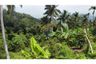 Land for sale in Bo Phut, Surat Thani