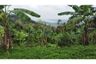 Land for sale in Bo Phut, Surat Thani