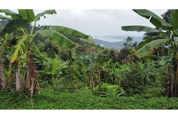 Land for sale in Bo Phut, Surat Thani