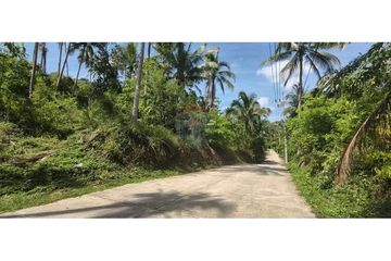 Land for sale in Bo Phut, Surat Thani