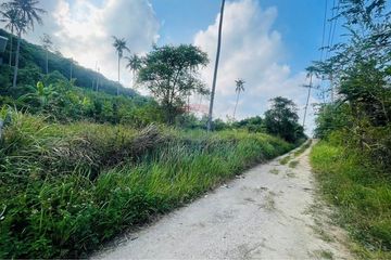 Land for rent in Bo Phut, Surat Thani