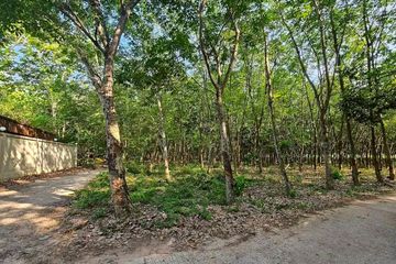 Land for sale in Bo Win, Chonburi