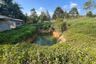 Land for sale in Thai Mueang, Phang Nga