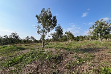 Land for sale in Thai Mueang, Phang Nga