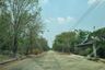 Land for sale in Bueng Ba, Pathum Thani
