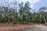 Land for sale in Bueng Ba, Pathum Thani