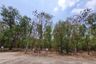 Land for sale in Bueng Ba, Pathum Thani