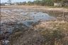 Land for sale in Dao Rueang, Saraburi