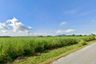 Land for sale in Nong Chak, Chonburi