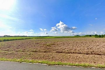 Land for sale in Nong Chak, Chonburi
