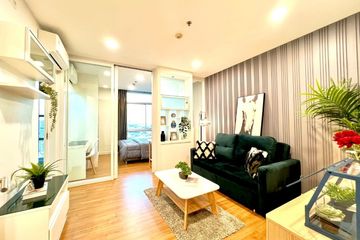 1 Bedroom Condo for rent in Centric Scene Sukhumvit 64, Bang Na, Bangkok near BTS Punnawithi