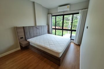 1 Bedroom Condo for rent in Arise Condo, Pa Daet, Chiang Mai