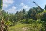 Land for sale in Bang Thong, Phang Nga