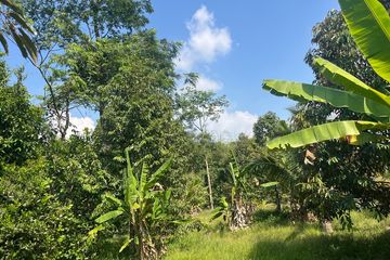 Land for sale in Bang Thong, Phang Nga